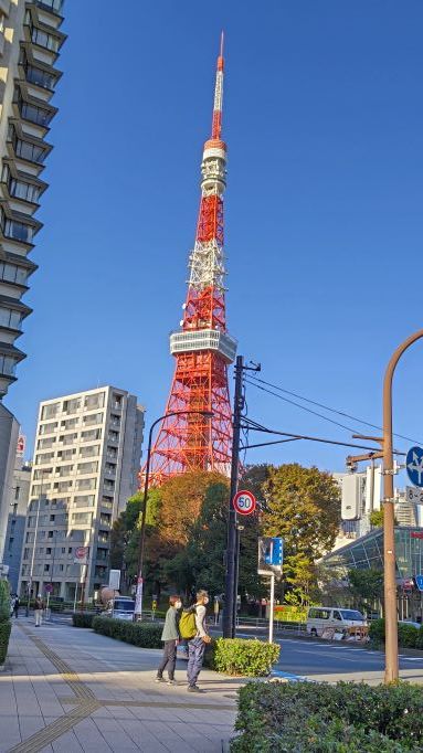 11.8東京タワー1.JPG