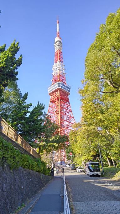 11.8東京タワー2.JPG