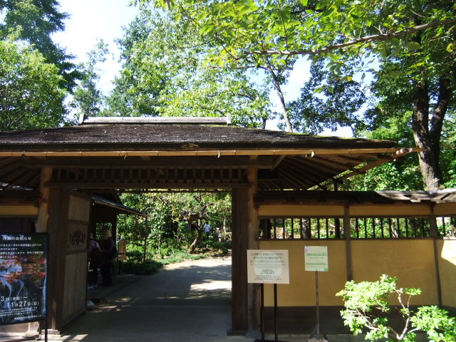日本庭園10.JPG