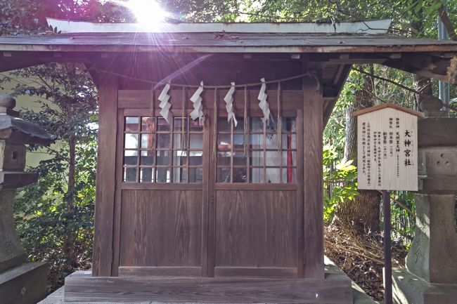 氷川神社7.JPG